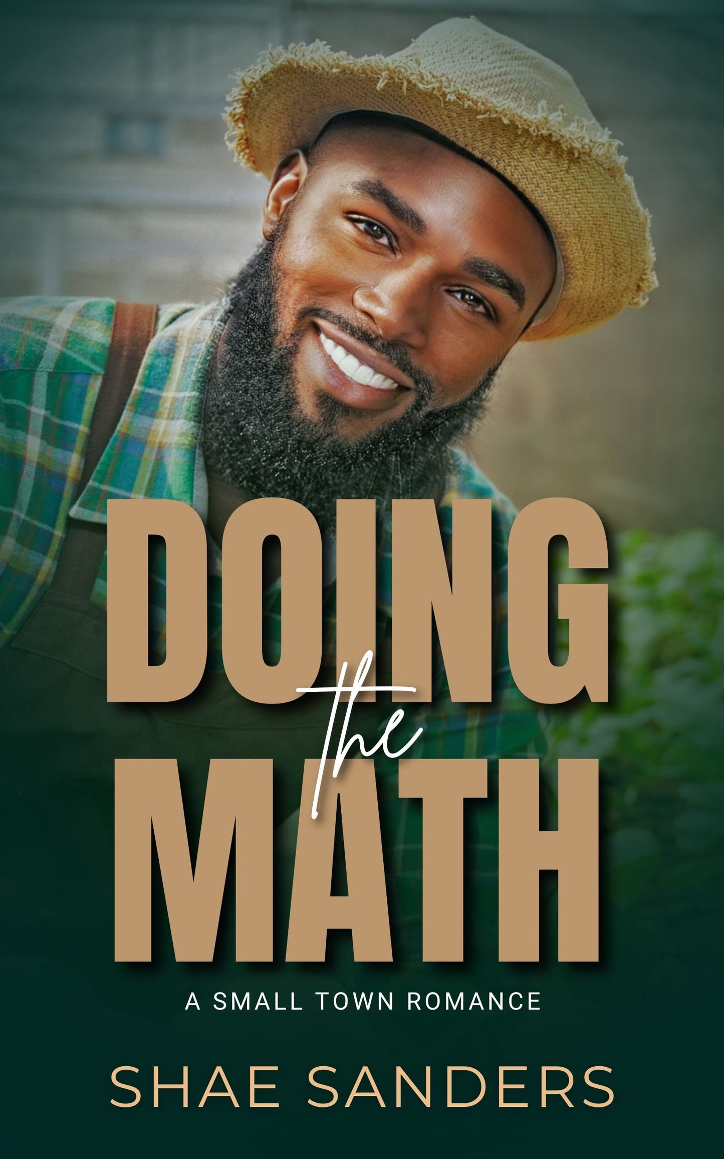 Doing the Math: A Small Town Romance